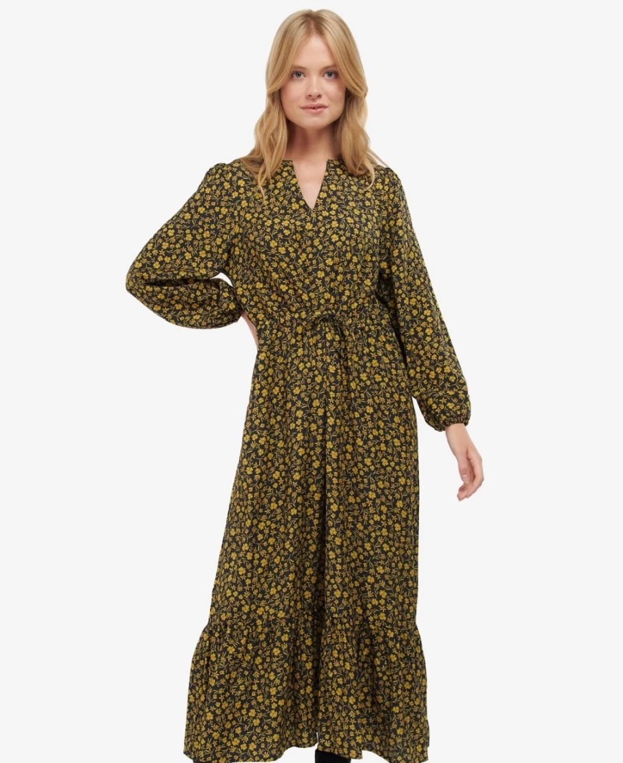 Barbour Women's Gallia Dress in Multi Floral Print
