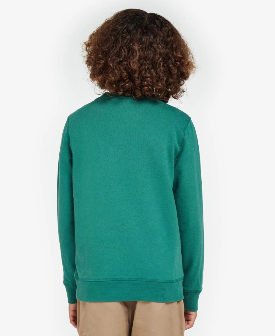 Barbour Boys Dixon Sweatshirt in Vine Green - Classic Cotton Pullover for Kids